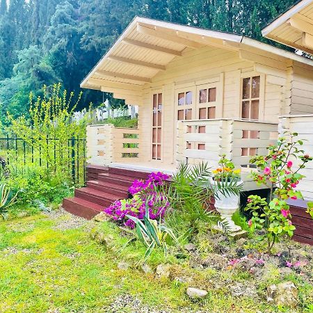 Vacation Home Apsar New Athos Eksteriør bilde