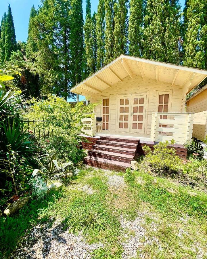 Vacation Home Apsar New Athos Eksteriør bilde